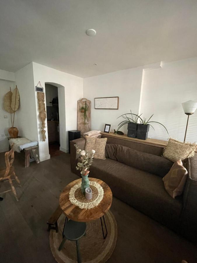 Appartement Zuid Zandvoort Eksteriør bilde